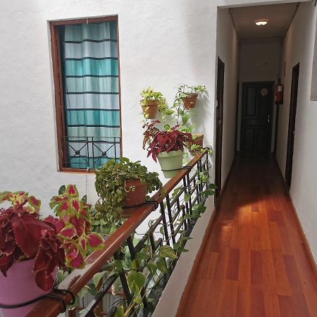 Pension Ronda Sol Dış mekan fotoğraf